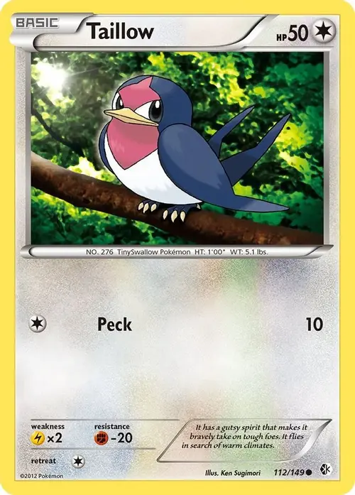 Taillow card art