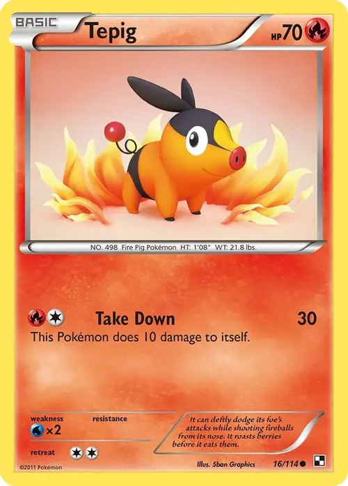 Tepig (16) card art