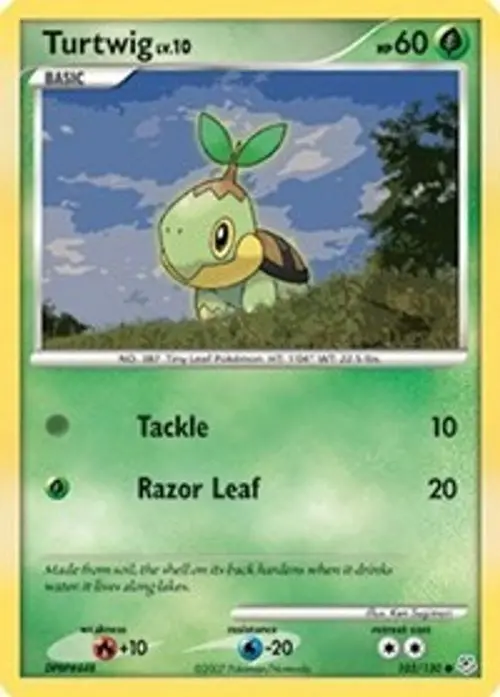 Turtwig card art
