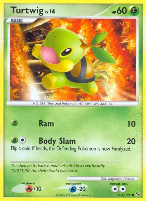 Turtwig card art