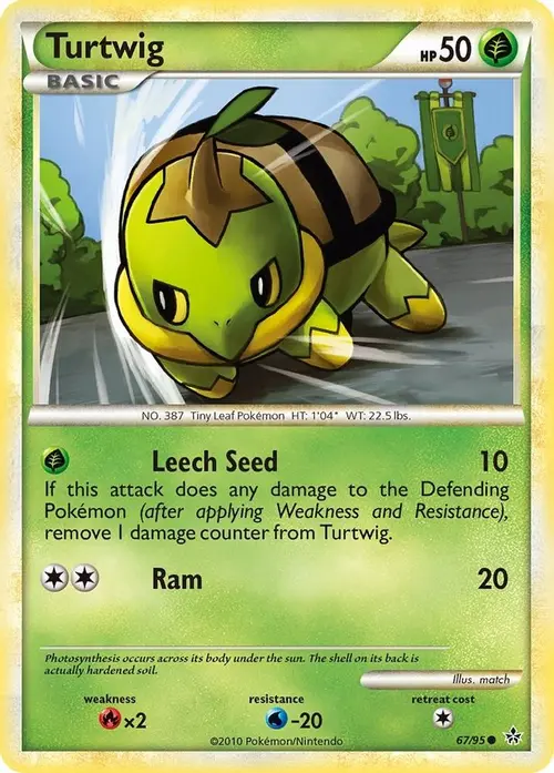 Turtwig card art