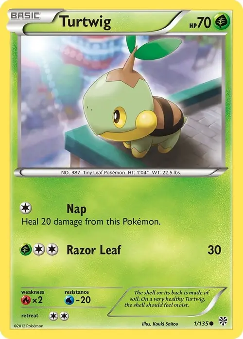 Turtwig card art