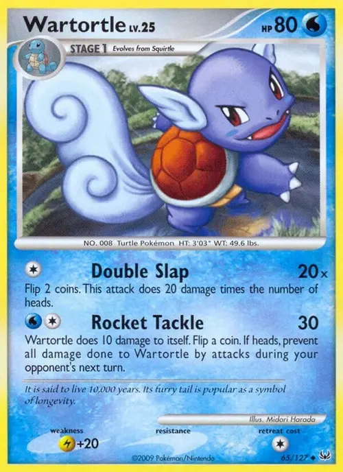 Wartortle card art
