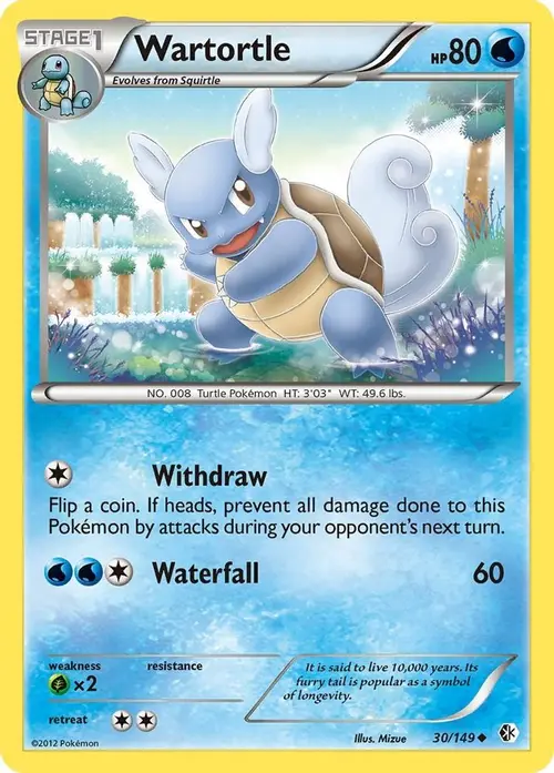 Wartortle card art