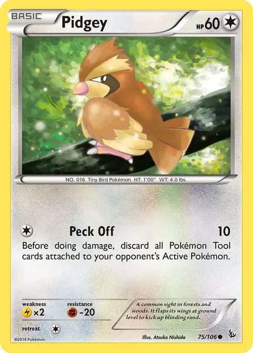 Pidgey card art