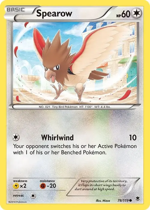 Spearow card art