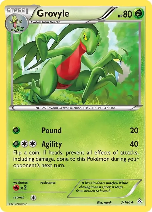 Grovyle card art