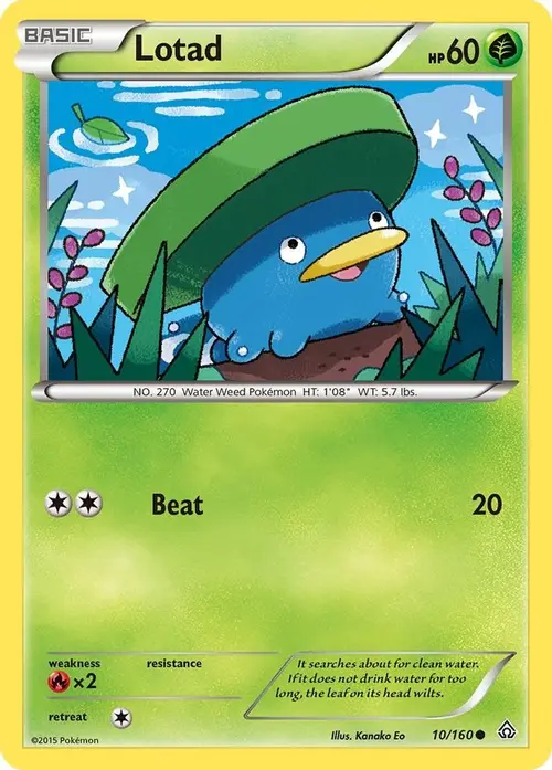 Lotad card art