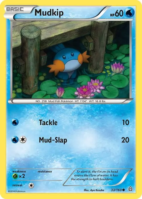 Mudkip card art