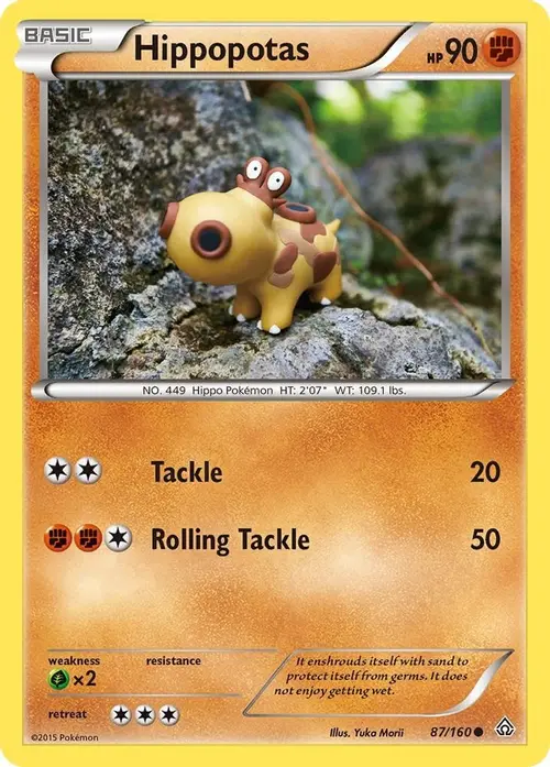 Hippopotas card art