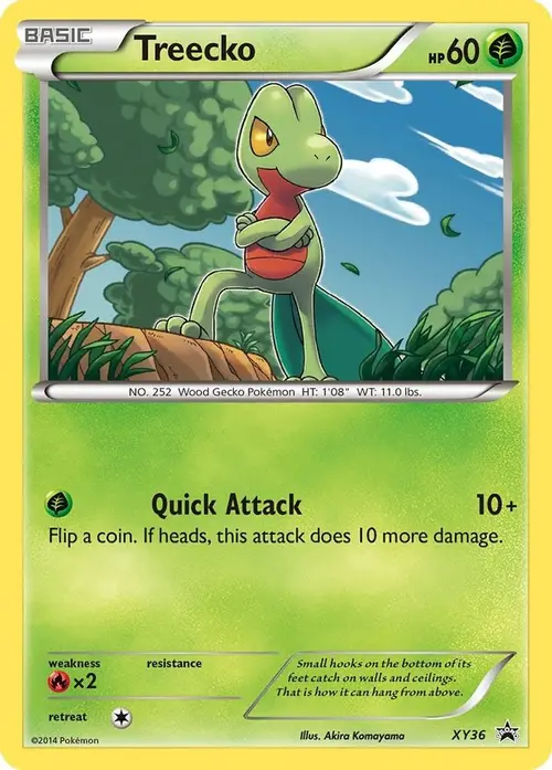 Treecko - XY36 card art