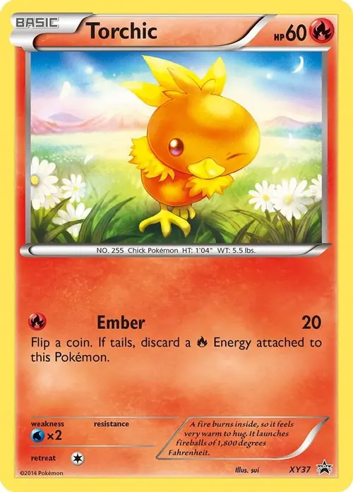 Torchic - XY37 card art