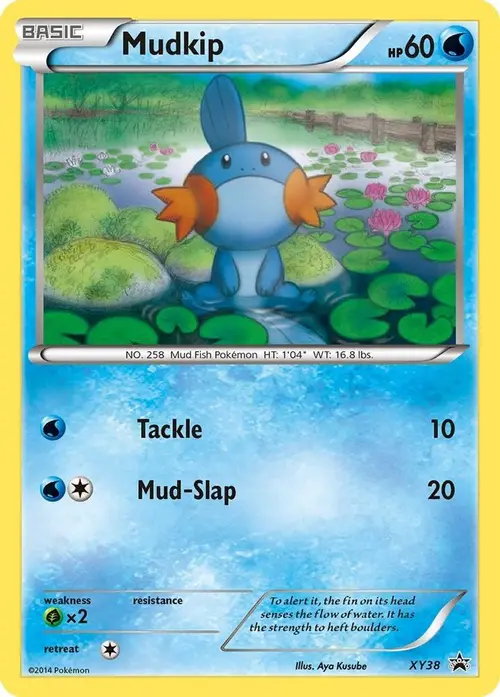 Mudkip - XY38 card art