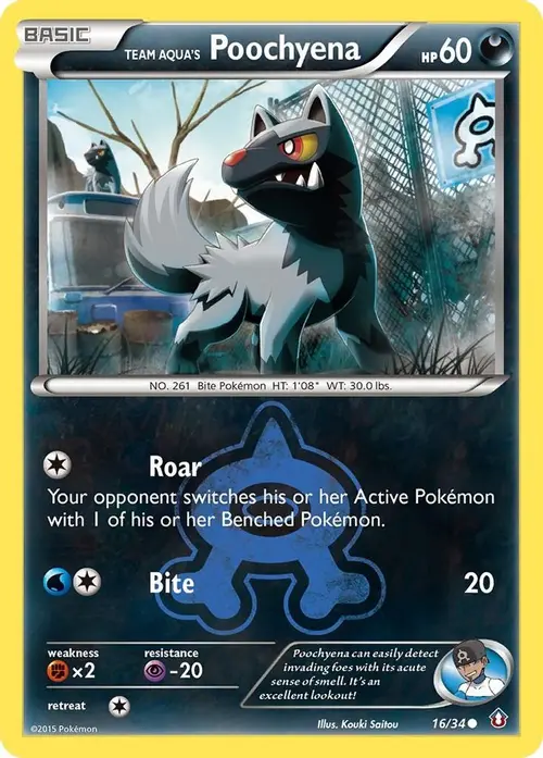 Team Aqua's Poochyena card art