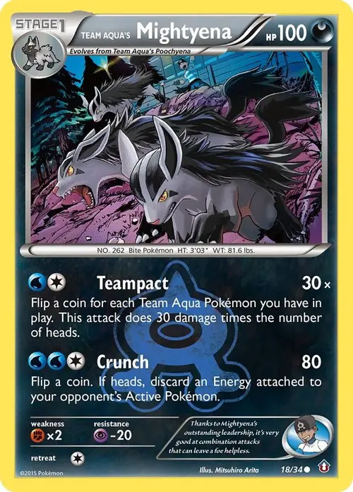 Team Aqua's Mightyena card art