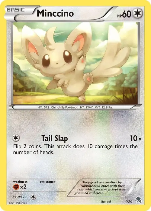 Minccino (#4) card art
